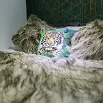 B101 Boutique City Loft